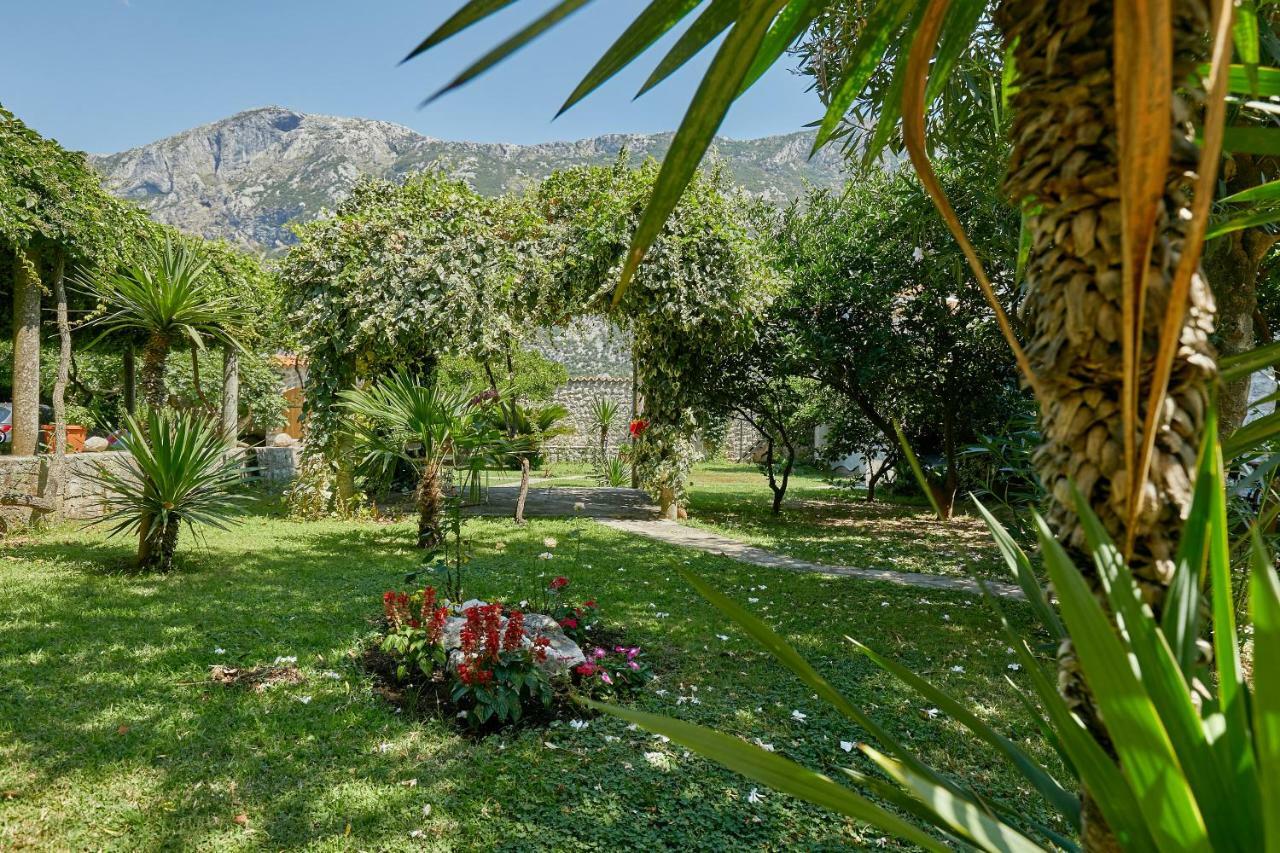 Mediterranean Holiday House & Apartments コトル エクステリア 写真